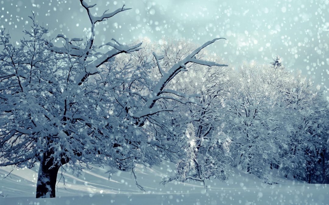 Winterreise