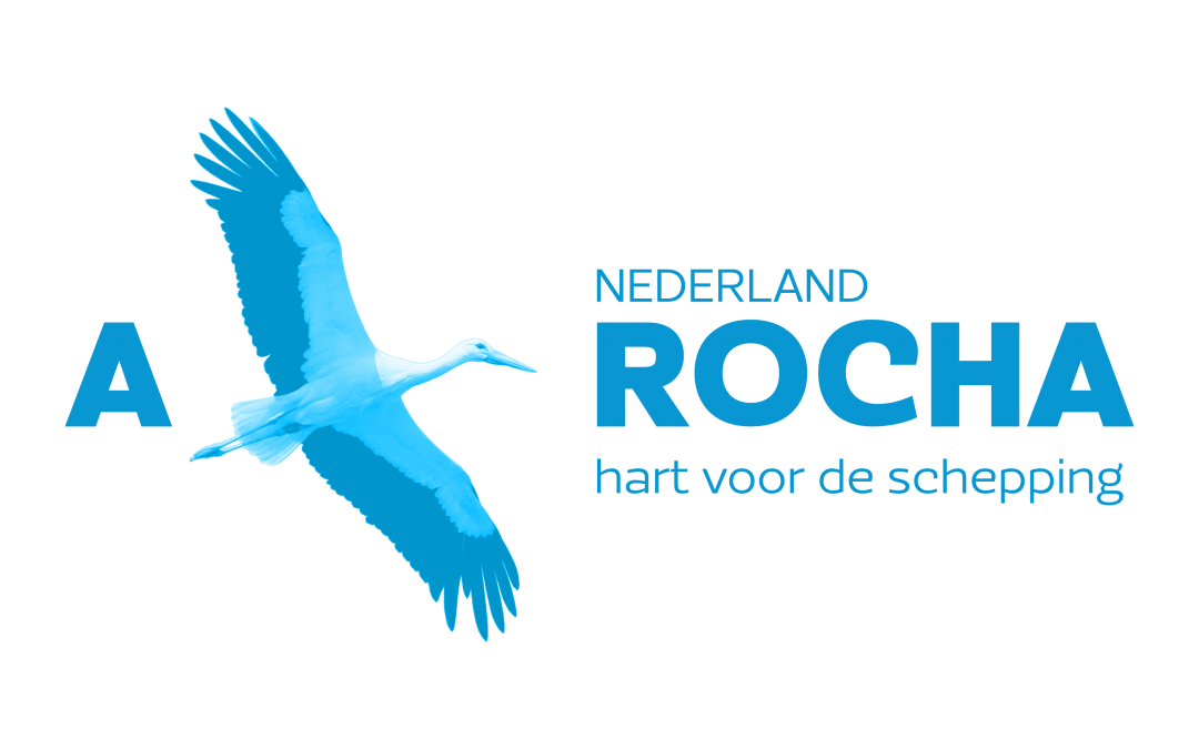 Collectedoel: Herstel van het woestijnbos in Peru