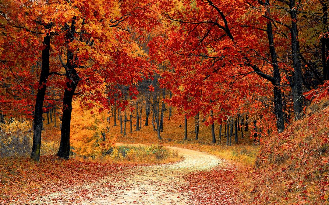 Herfstvakantie predikanten